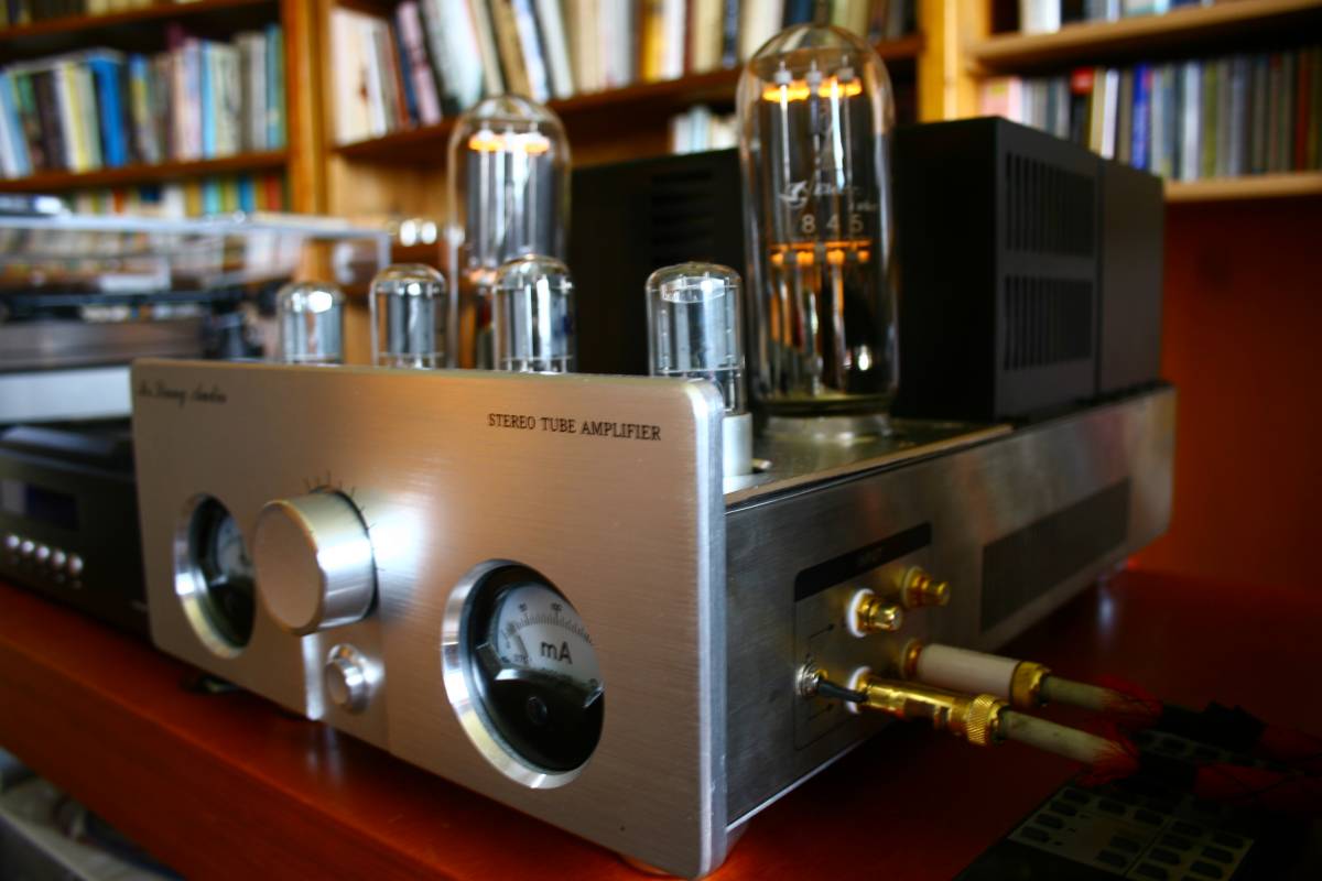 Mr. Liang 845 amplifier